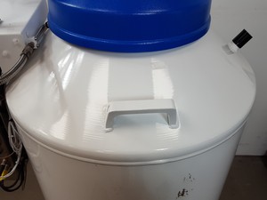 Thumbnail image of CryopAL Arpege 170 Air Liquide Liquid Nitrogen Cryogenic Storage Dewar Lab