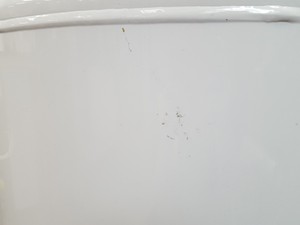 Thumbnail image of CryopAL Arpege 170 Air Liquide Liquid Nitrogen Cryogenic Storage Dewar Lab