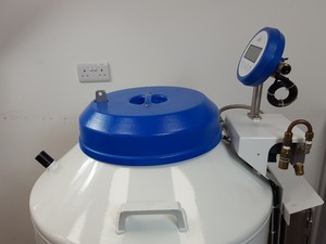 Thumbnail image of CryopAL Arpege 170 Air Liquide Liquid Nitrogen Cryogenic Storage Dewar Lab