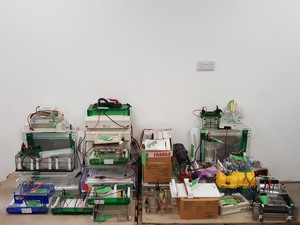 Thumbnail image of Large Lot of Electrophoresis Tanks, Lids & Combs - Bio-Rad, Fisher Lab Job Lot