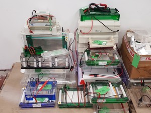 Thumbnail image of Large Lot of Electrophoresis Tanks, Lids & Combs - Bio-Rad, Fisher Lab Job Lot