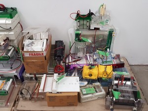 Thumbnail image of Large Lot of Electrophoresis Tanks, Lids & Combs - Bio-Rad, Fisher Lab Job Lot