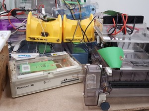 Thumbnail image of Large Lot of Electrophoresis Tanks, Lids & Combs - Bio-Rad, Fisher Lab Job Lot