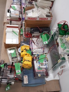 Thumbnail image of Large Lot of Electrophoresis Tanks, Lids & Combs - Bio-Rad, Fisher Lab Job Lot