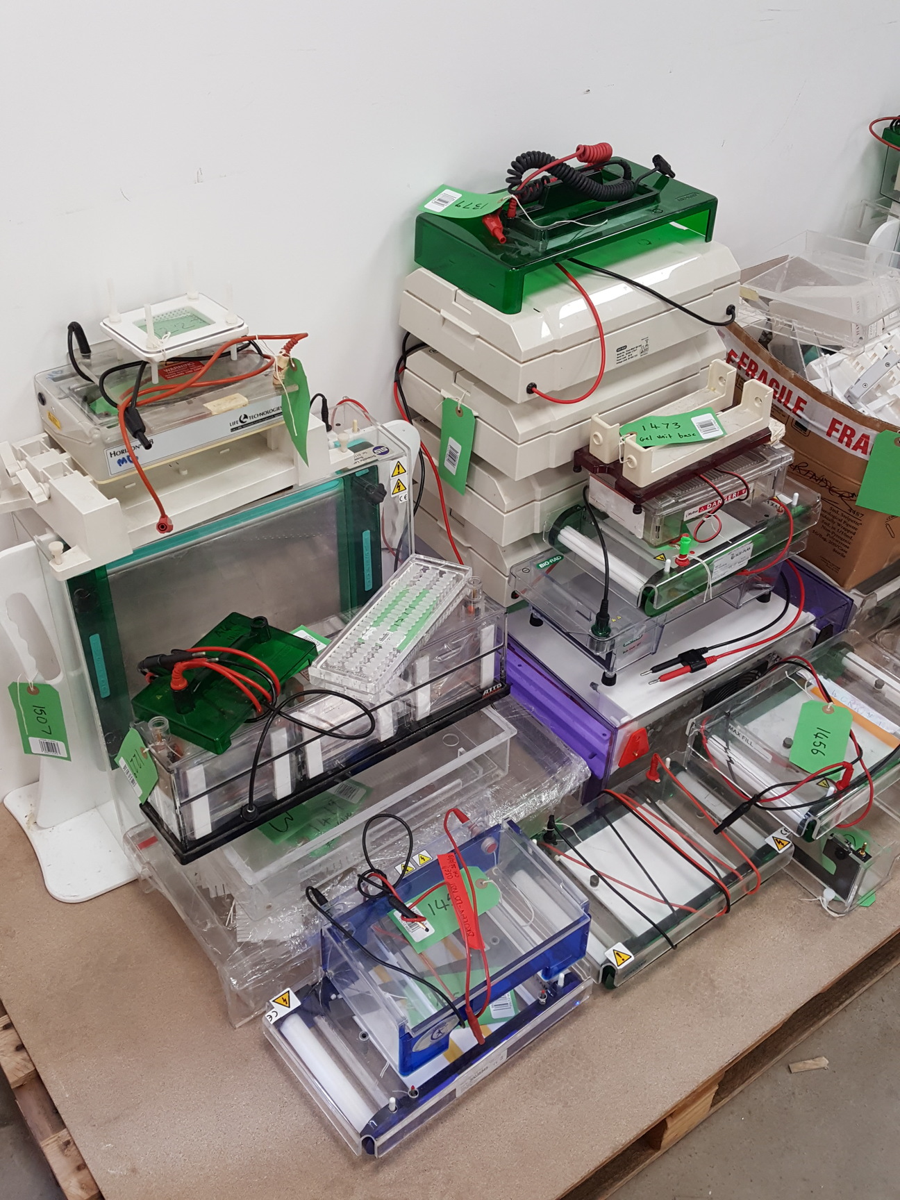 Image of Large Lot of Electrophoresis Tanks, Lids & Combs - Bio-Rad, Fisher Lab Job Lot