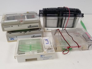 Thumbnail image of Large Lot of Electrophoresis Tanks, Lids & Combs - Bio-Rad, Fisher Lab Job Lot