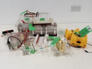Thumbnail image of Large Lot of Electrophoresis Tanks, Lids & Combs - Bio-Rad, Fisher Lab Job Lot