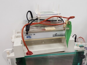 Thumbnail image of Large Lot of Electrophoresis Tanks, Lids & Combs - Bio-Rad, Fisher Lab Job Lot