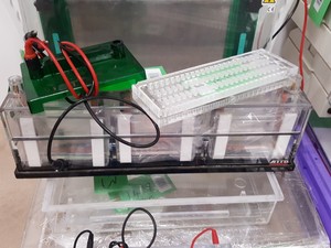 Thumbnail image of Large Lot of Electrophoresis Tanks, Lids & Combs - Bio-Rad, Fisher Lab Job Lot