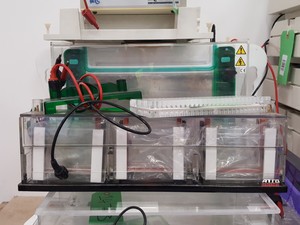 Thumbnail image of Large Lot of Electrophoresis Tanks, Lids & Combs - Bio-Rad, Fisher Lab Job Lot
