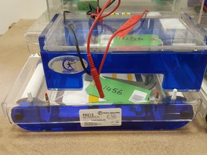 Thumbnail image of Large Lot of Electrophoresis Tanks, Lids & Combs - Bio-Rad, Fisher Lab Job Lot