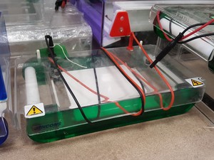 Thumbnail image of Large Lot of Electrophoresis Tanks, Lids & Combs - Bio-Rad, Fisher Lab Job Lot