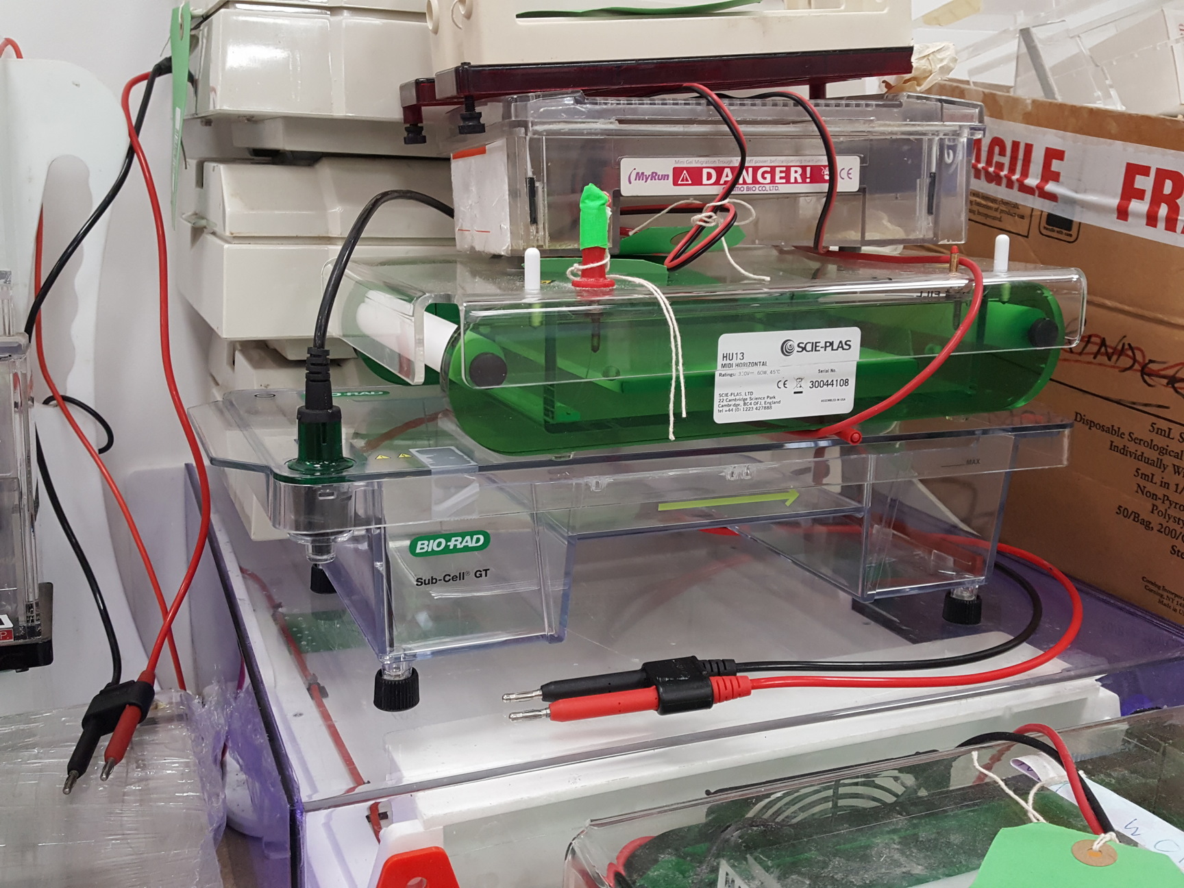 Image of Large Lot of Electrophoresis Tanks, Lids & Combs - Bio-Rad, Fisher Lab Job Lot