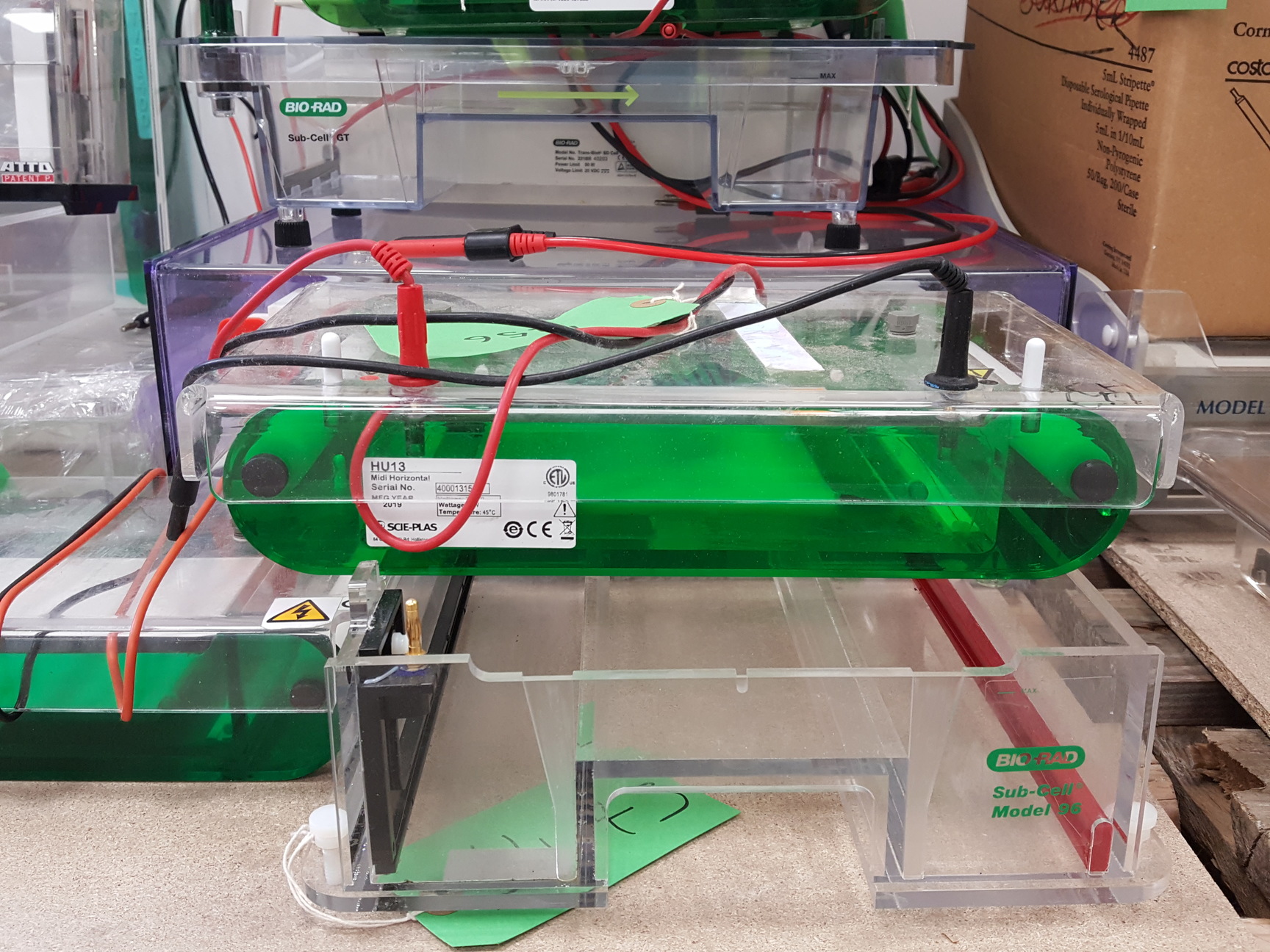 Image of Large Lot of Electrophoresis Tanks, Lids & Combs - Bio-Rad, Fisher Lab Job Lot