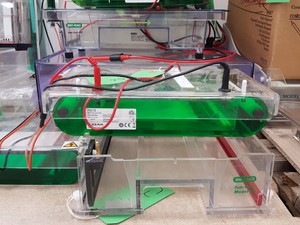 Thumbnail image of Large Lot of Electrophoresis Tanks, Lids & Combs - Bio-Rad, Fisher Lab Job Lot