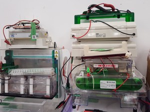 Thumbnail image of Large Lot of Electrophoresis Tanks, Lids & Combs - Bio-Rad, Fisher Lab Job Lot