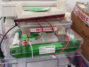 Thumbnail image of Large Lot of Electrophoresis Tanks, Lids & Combs - Bio-Rad, Fisher Lab Job Lot