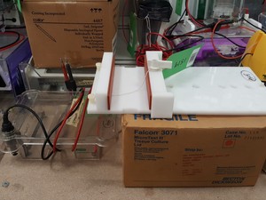 Thumbnail image of Large Lot of Electrophoresis Tanks, Lids & Combs - Bio-Rad, Fisher Lab Job Lot
