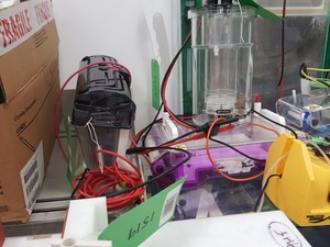 Thumbnail image of Large Lot of Electrophoresis Tanks, Lids & Combs - Bio-Rad, Fisher Lab Job Lot