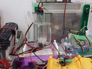 Thumbnail image of Large Lot of Electrophoresis Tanks, Lids & Combs - Bio-Rad, Fisher Lab Job Lot