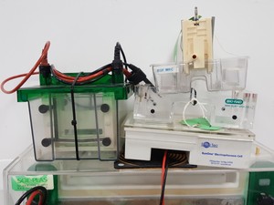 Thumbnail image of Large Lot of Electrophoresis Tanks, Lids & Combs - Bio-Rad, Fisher Lab Job Lot