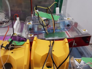Thumbnail image of Large Lot of Electrophoresis Tanks, Lids & Combs - Bio-Rad, Fisher Lab Job Lot
