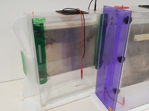 Thumbnail image of Large Lot of Electrophoresis Tanks, Lids & Combs - Bio-Rad, Fisher Lab Job Lot