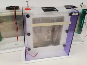 Thumbnail image of Large Lot of Electrophoresis Tanks, Lids & Combs - Bio-Rad, Fisher Lab Job Lot