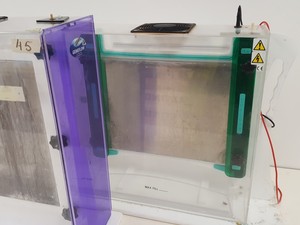 Thumbnail image of Large Lot of Electrophoresis Tanks, Lids & Combs - Bio-Rad, Fisher Lab Job Lot