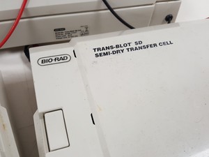 Thumbnail image of Large Lot of Electrophoresis Tanks, Lids & Combs - Bio-Rad, Fisher Lab Job Lot