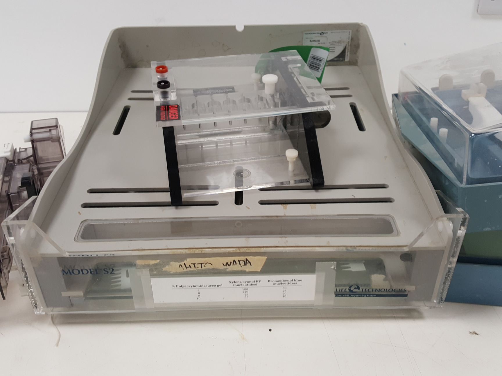 Image of Large Lot of Electrophoresis Tanks, Lids & Combs - Bio-Rad, Fisher Lab Job Lot