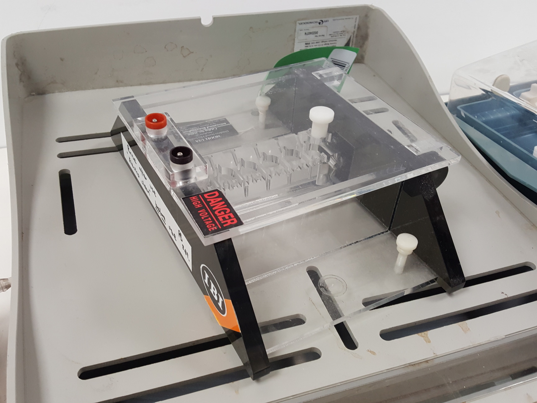 Image of Large Lot of Electrophoresis Tanks, Lids & Combs - Bio-Rad, Fisher Lab Job Lot