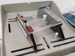 Thumbnail image of Large Lot of Electrophoresis Tanks, Lids & Combs - Bio-Rad, Fisher Lab Job Lot