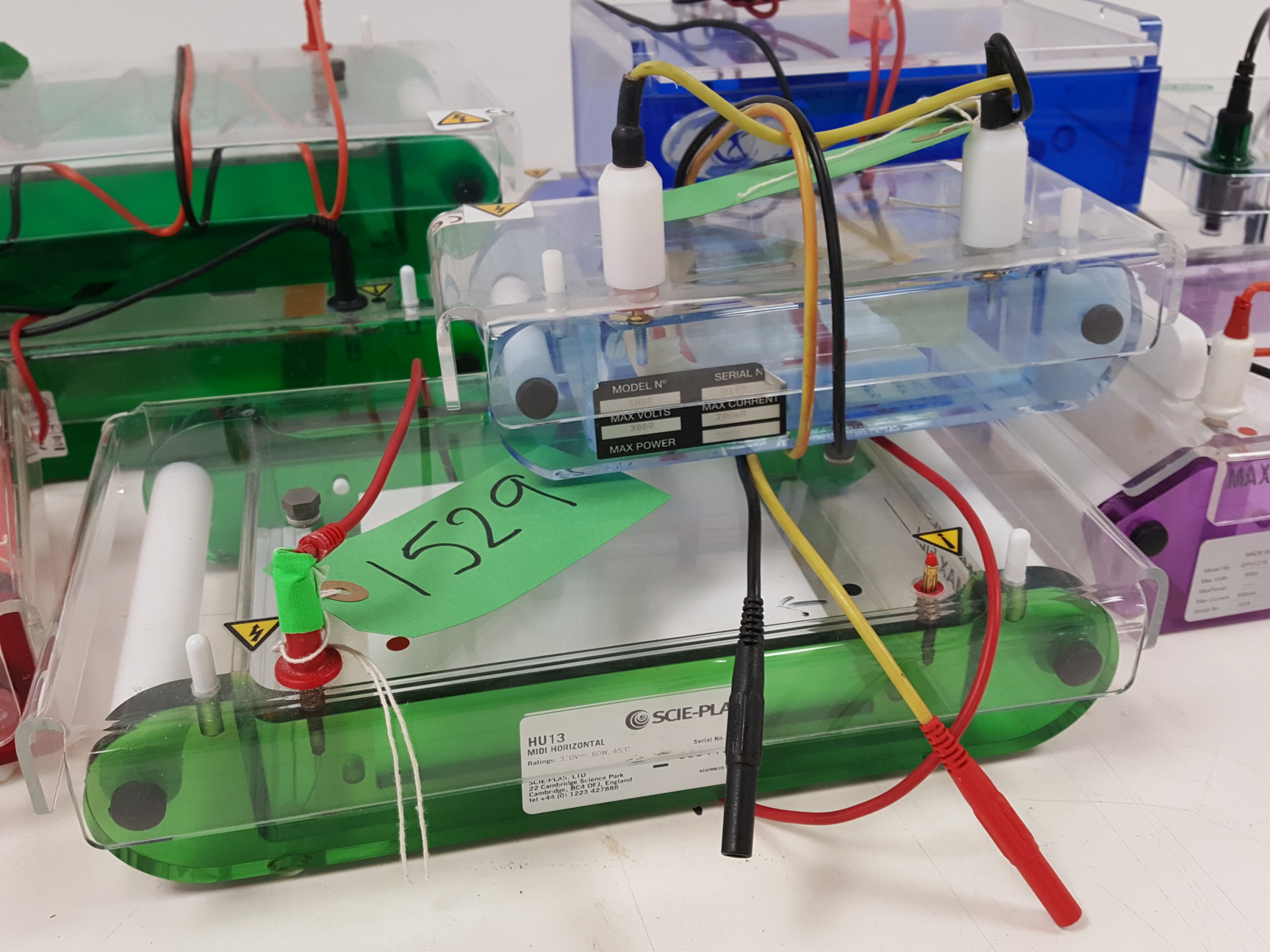 Image of Large Lot of Electrophoresis Tanks, Lids & Combs - Bio-Rad, Fisher Lab Job Lot