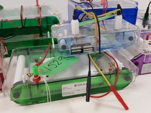 Thumbnail image of Large Lot of Electrophoresis Tanks, Lids & Combs - Bio-Rad, Fisher Lab Job Lot