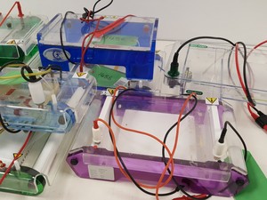 Thumbnail image of Large Lot of Electrophoresis Tanks, Lids & Combs - Bio-Rad, Fisher Lab Job Lot