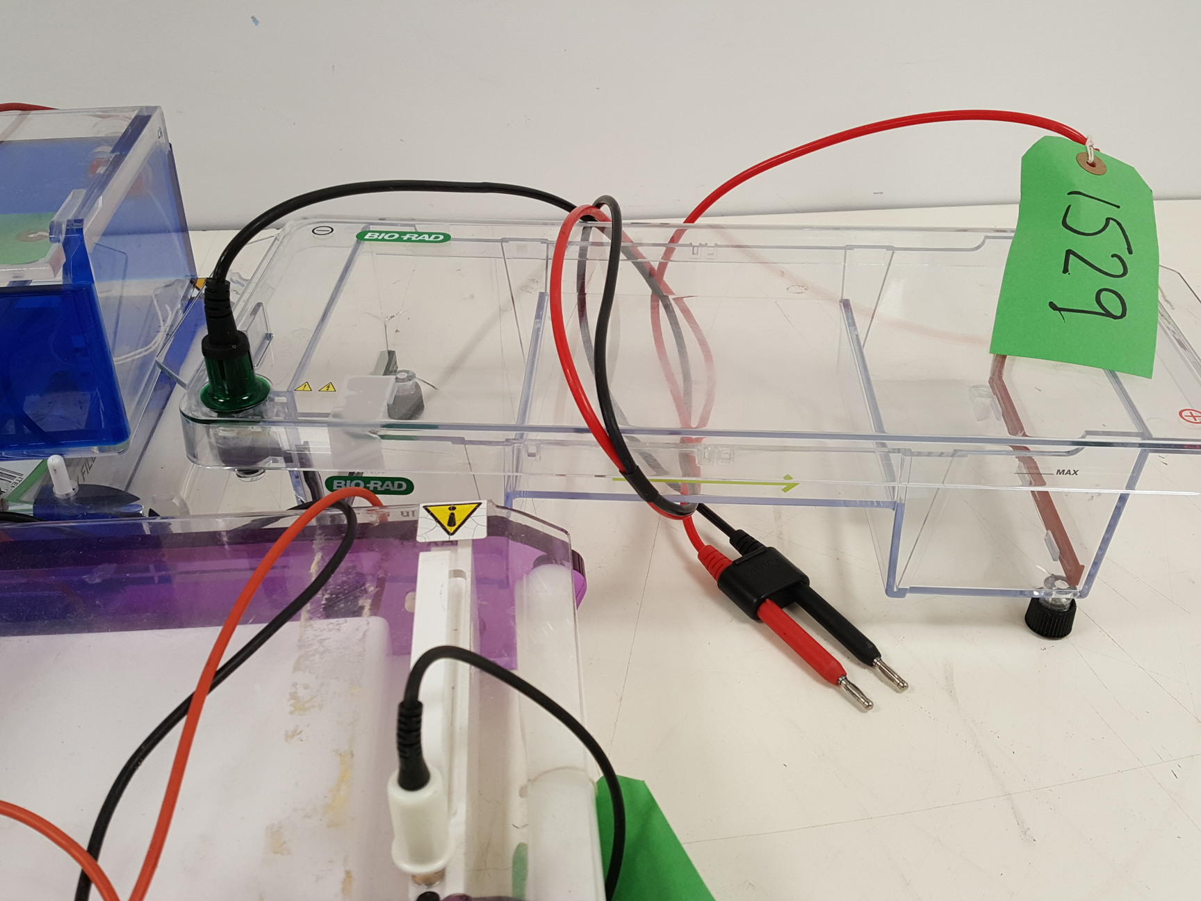 Image of Large Lot of Electrophoresis Tanks, Lids & Combs - Bio-Rad, Fisher Lab Job Lot