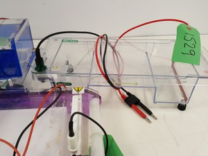 Thumbnail image of Large Lot of Electrophoresis Tanks, Lids & Combs - Bio-Rad, Fisher Lab Job Lot