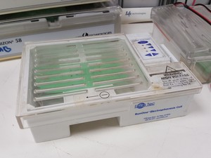 Thumbnail image of Large Lot of Electrophoresis Tanks, Lids & Combs - Bio-Rad, Fisher Lab Job Lot