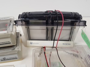Thumbnail image of Large Lot of Electrophoresis Tanks, Lids & Combs - Bio-Rad, Fisher Lab Job Lot
