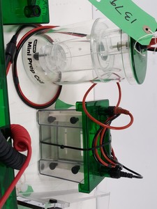 Thumbnail image of Large Lot of Electrophoresis Tanks, Lids & Combs - Bio-Rad, Fisher Lab Job Lot