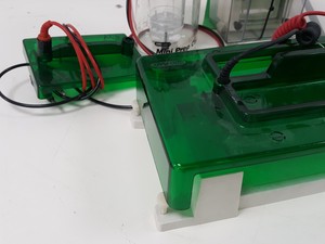 Thumbnail image of Large Lot of Electrophoresis Tanks, Lids & Combs - Bio-Rad, Fisher Lab Job Lot