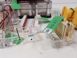 Thumbnail image of Large Lot of Electrophoresis Tanks, Lids & Combs - Bio-Rad, Fisher Lab Job Lot
