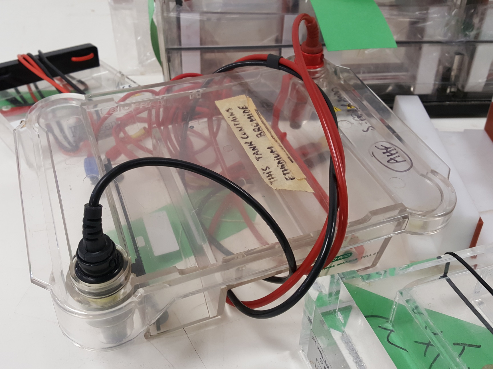 Image of Large Lot of Electrophoresis Tanks, Lids & Combs - Bio-Rad, Fisher Lab Job Lot