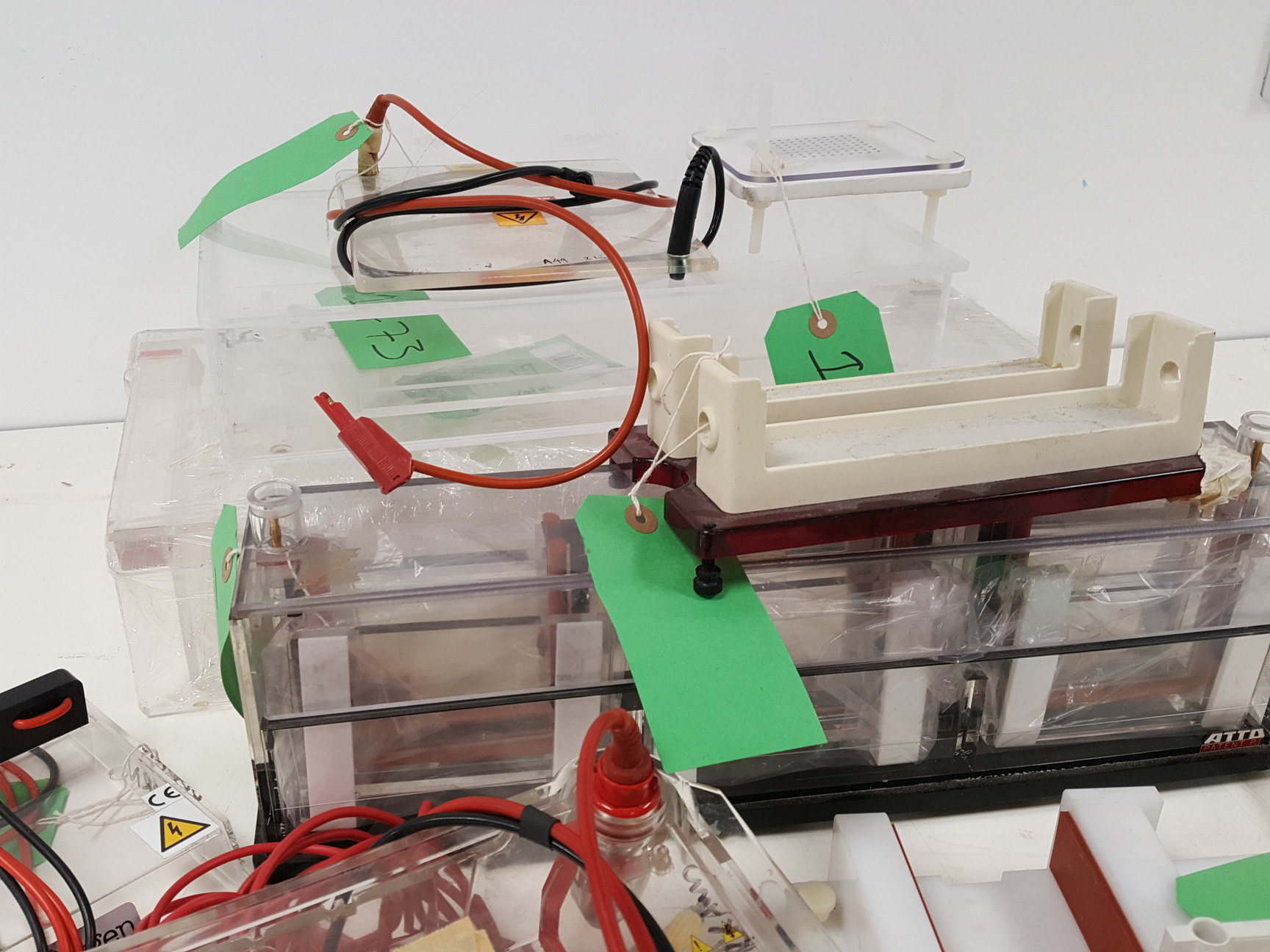Image of Large Lot of Electrophoresis Tanks, Lids & Combs - Bio-Rad, Fisher Lab Job Lot