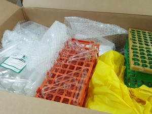Thumbnail image of Large Lot of Mixed Laboratory Glassware - Tubes, Bottles, Flasks & Accessories