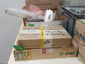 Thumbnail image of Large Lot of Mixed Laboratory Glassware - Tubes, Bottles, Flasks & Accessories