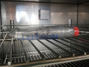 Thumbnail image of Sanyo Ultra-Low Temperature Freezer  Model - MDF-382 Lab