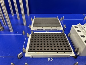 Thumbnail image of Eppendorf epMotion 5075 Liquid Handling Workstation - Pippeting Robot Lab