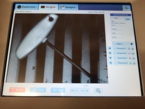 Thumbnail image of ProteinSimple FluorChem M FM0413 Western Blot Imaging System Lab